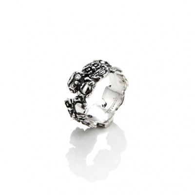 Anello Fascia Gufi