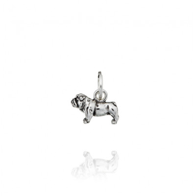 Charm Bulldog