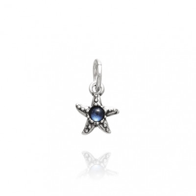 Charm Stella Marina Color