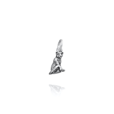 Charm Leopardo
