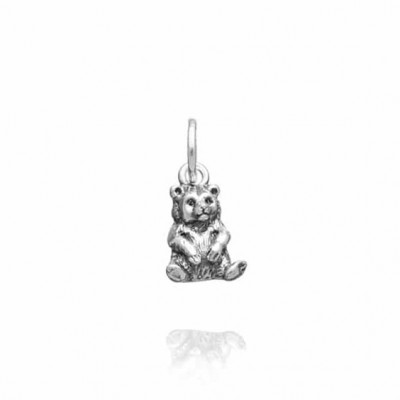 Charm Orso