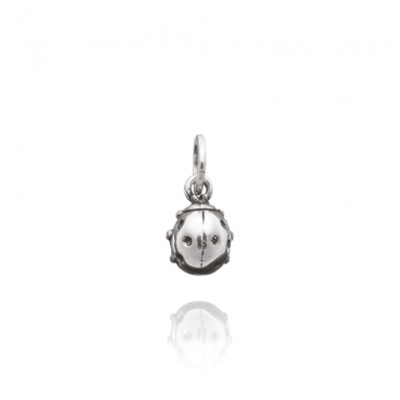 Charm Coccinella