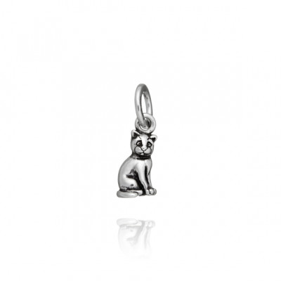 Charm Gatto