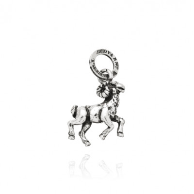 Charm Ariete
