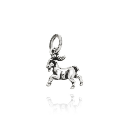 Charm Capricorno