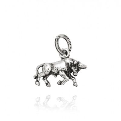 Charm Toro